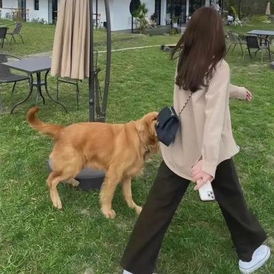 以你的语言呼唤我